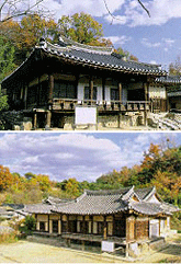 수도리
